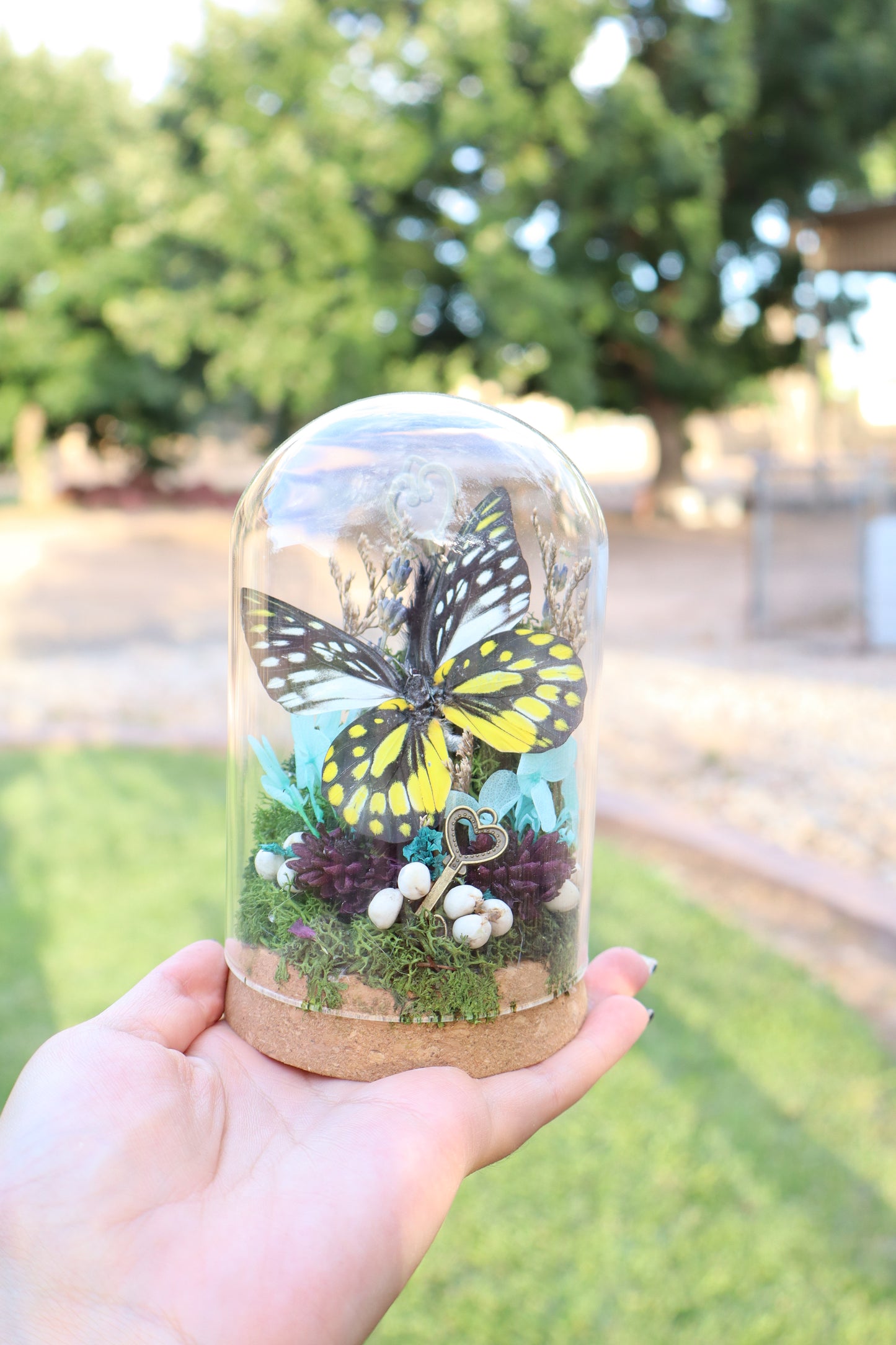 Enchanted Butterfly Glass Dome