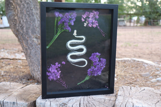 Botanical Snake Skeleton Shadow Box