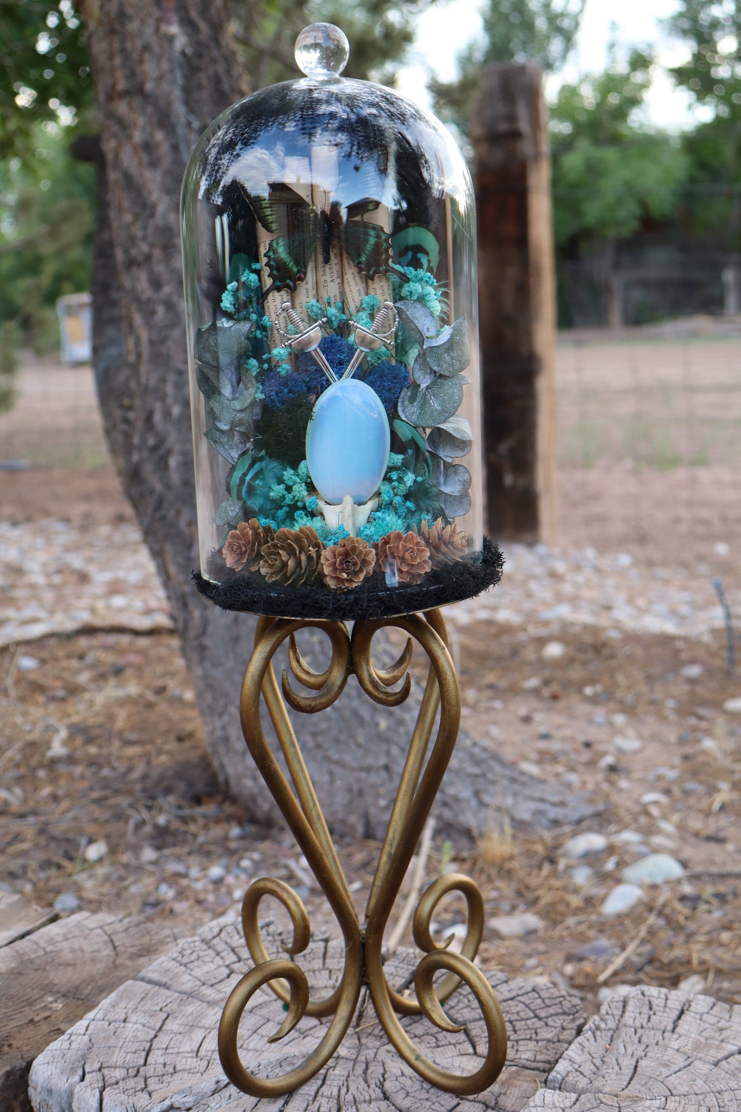 Celestial Curio Glass Dome