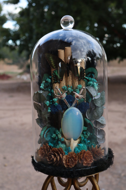 Celestial Curio Glass Dome