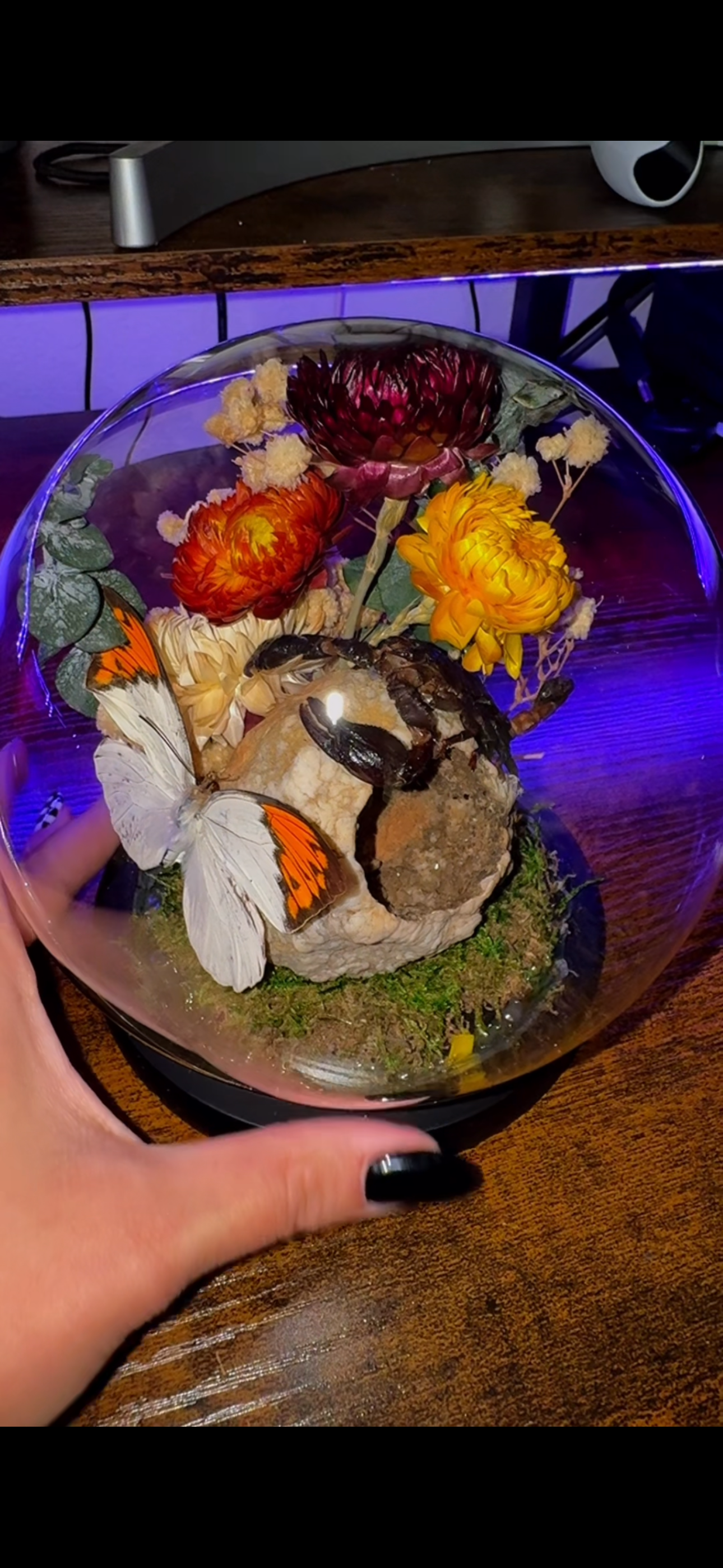 Crystal Curiosity Globe