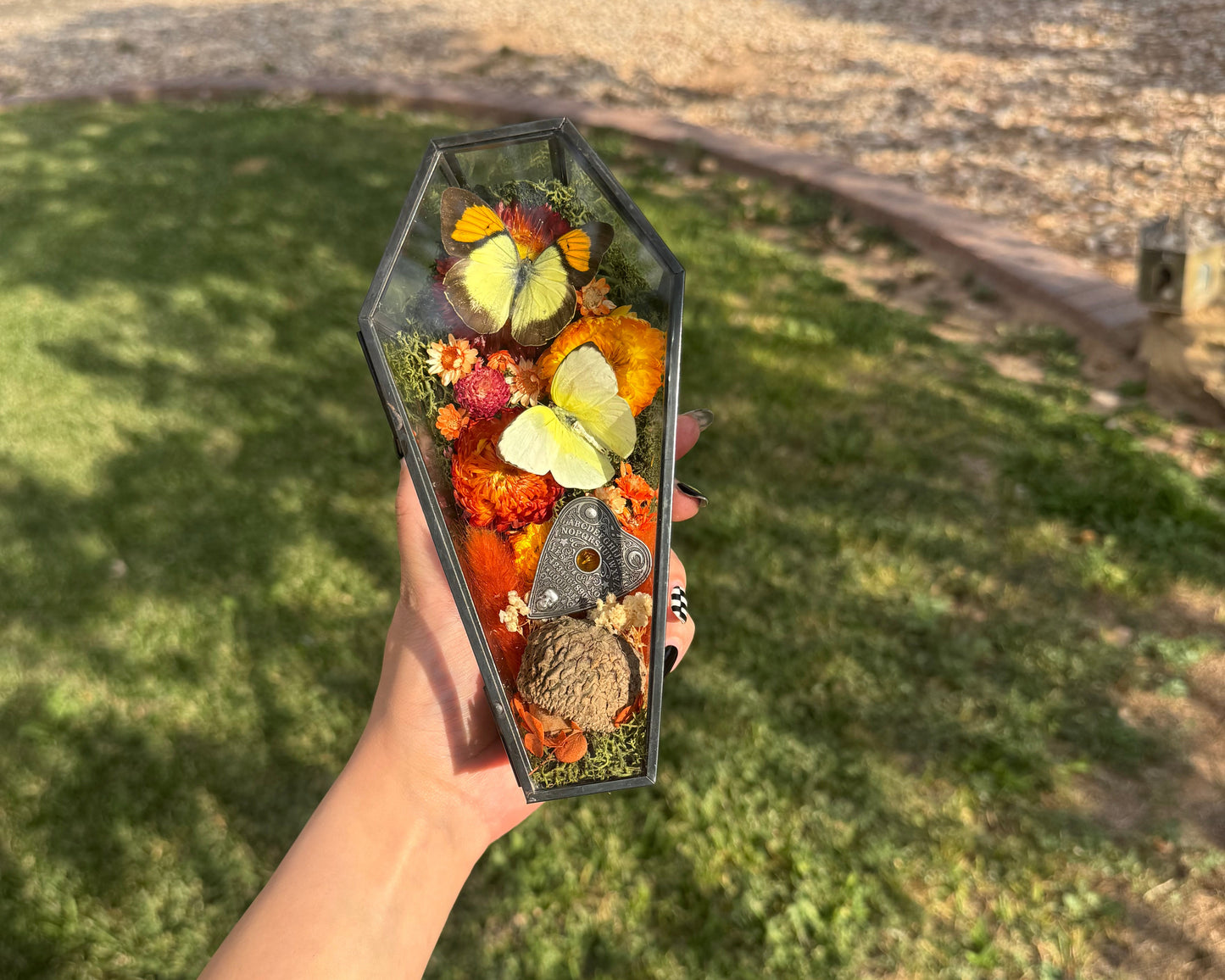 Autumn Butterfly Coffin